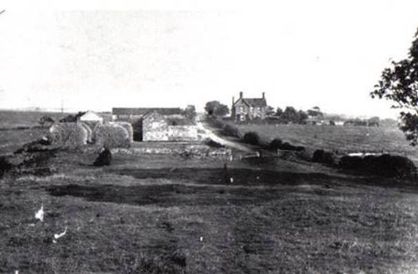 A black and white photo of a house and some trees

Description automatically generated with low confidence