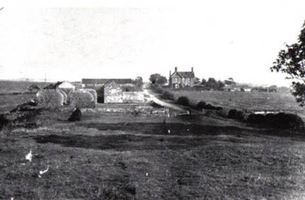 A black and white photo of a house and some trees

Description automatically generated with low confidence