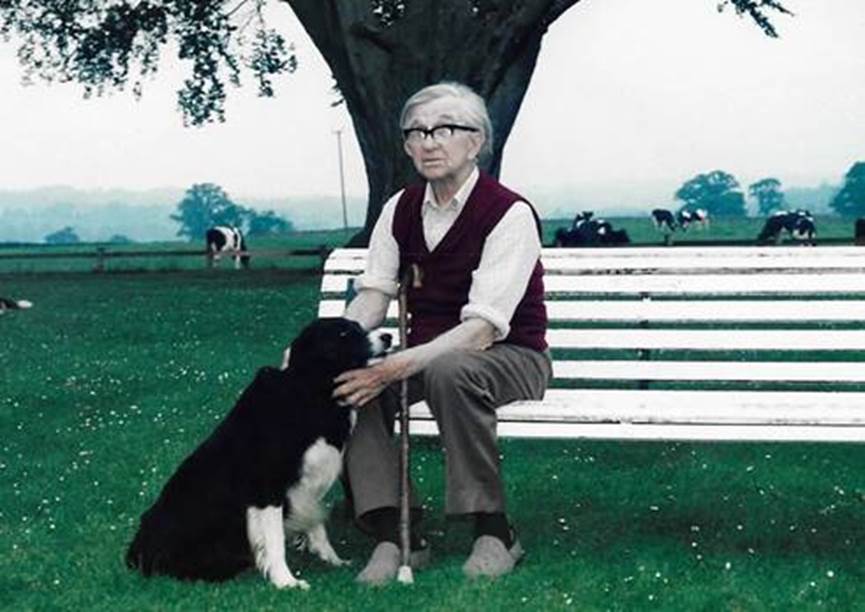 An old person sitting on a bench with a dog

Description automatically generated