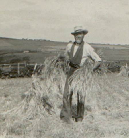 A person standing in a field holding a bundle of hay

Description automatically generated