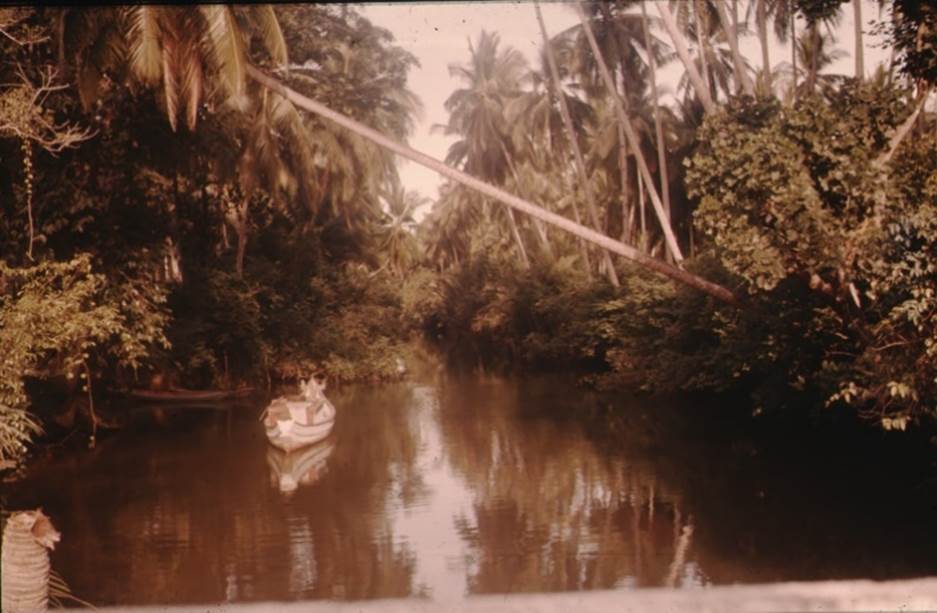 A body of water with trees around it

Description automatically generated with medium confidence