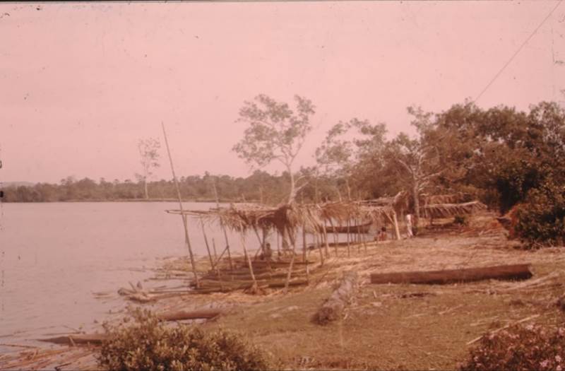 A body of water with trees and grass around it

Description automatically generated with medium confidence