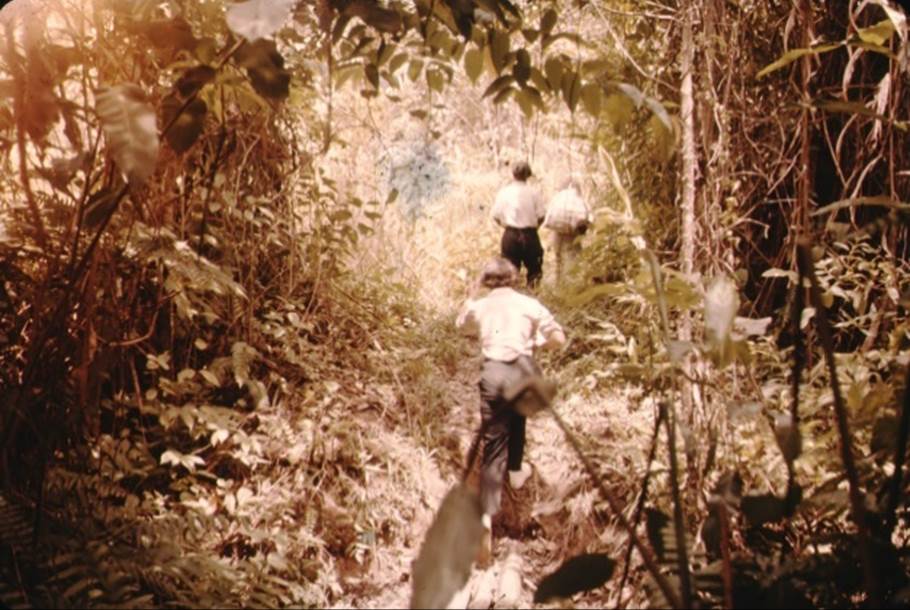 A group of people walking through a forest

Description automatically generated with low confidence