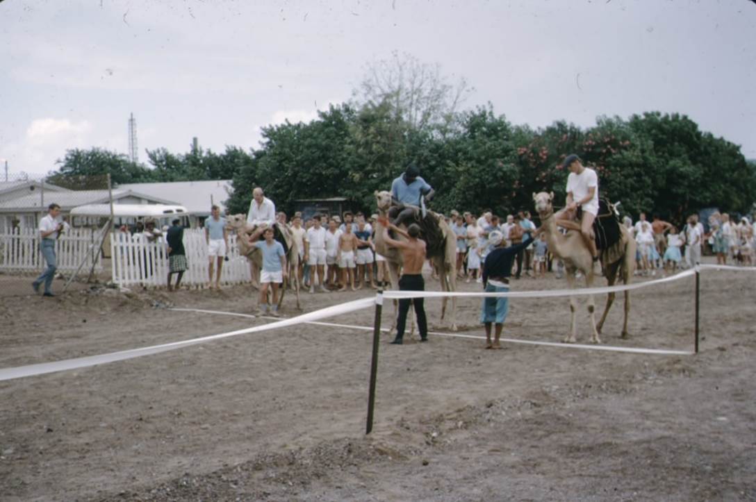 A group of people riding camels

Description automatically generated with low confidence