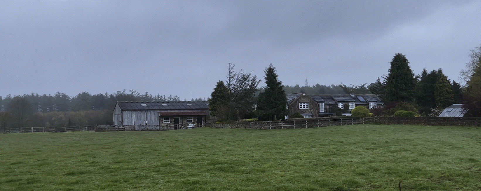 A field of grass with buildings in the background

Description automatically generated