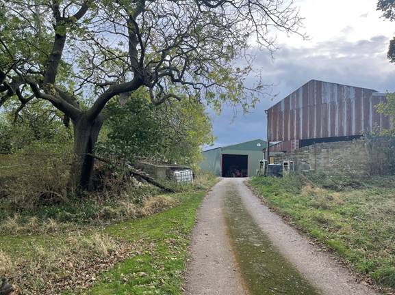 A dirt road leading to a building

Description automatically generated with low confidence