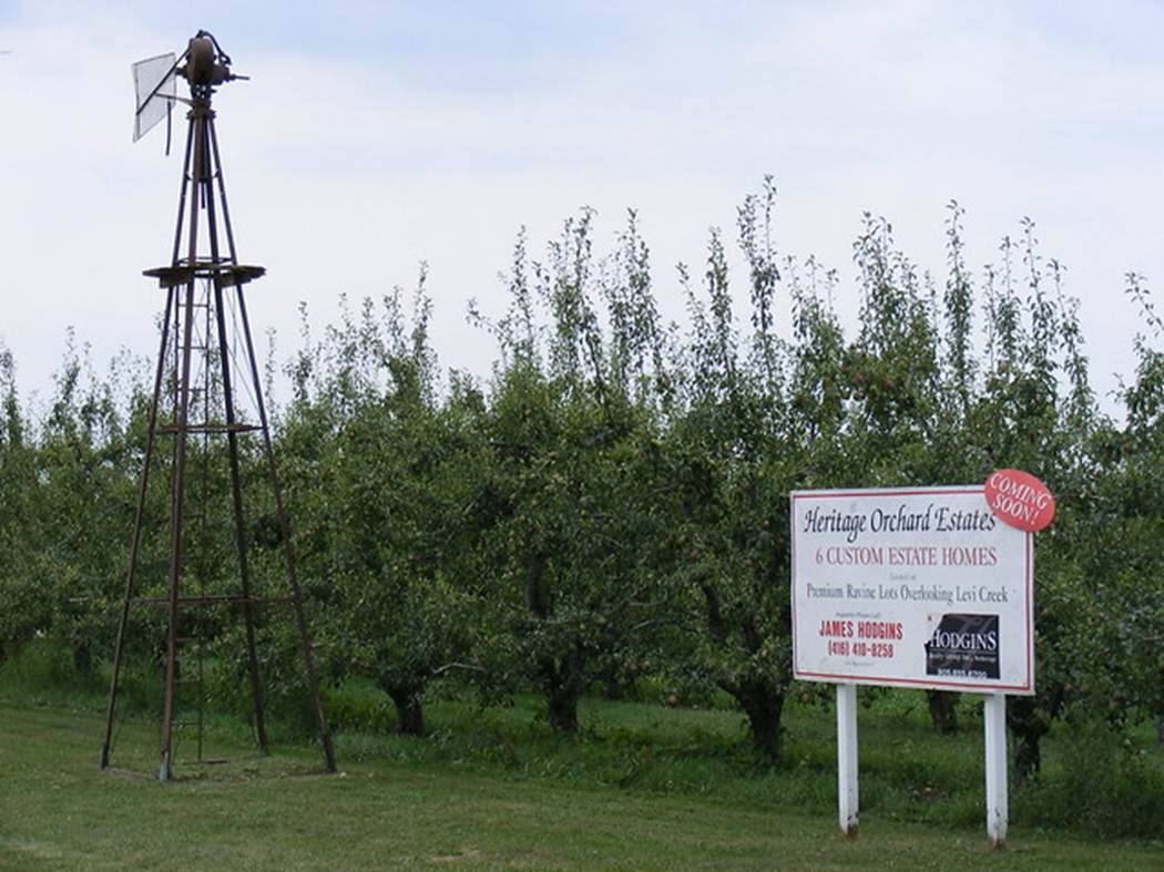 Proposed houses in an apple orchard