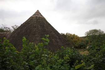 A straw roof in a field

Description automatically generated with medium confidence