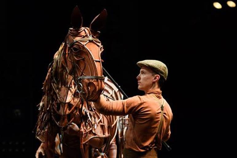 Image result for war horse