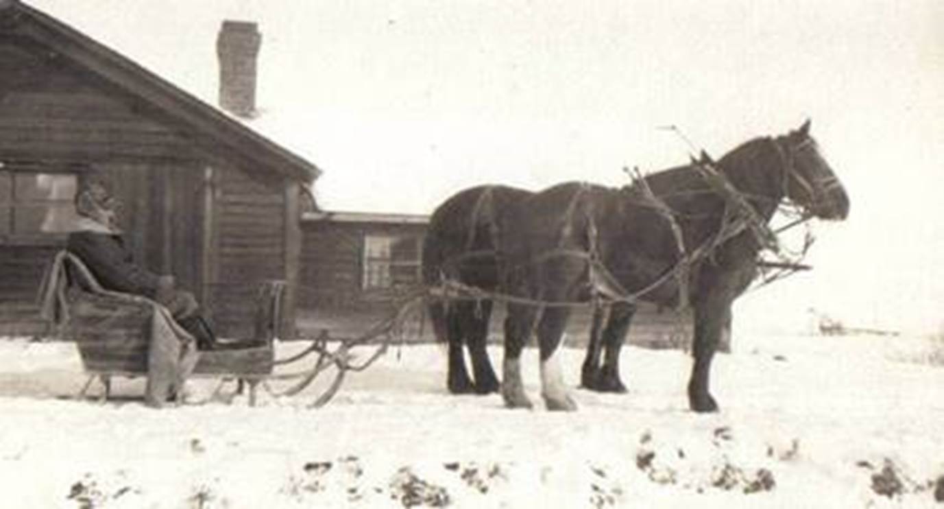 A horse pulling a sleigh and a person in a sleigh

Description automatically generated