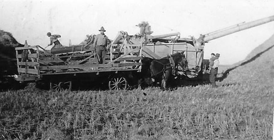 A black and white photo of a grass field

Description automatically generated