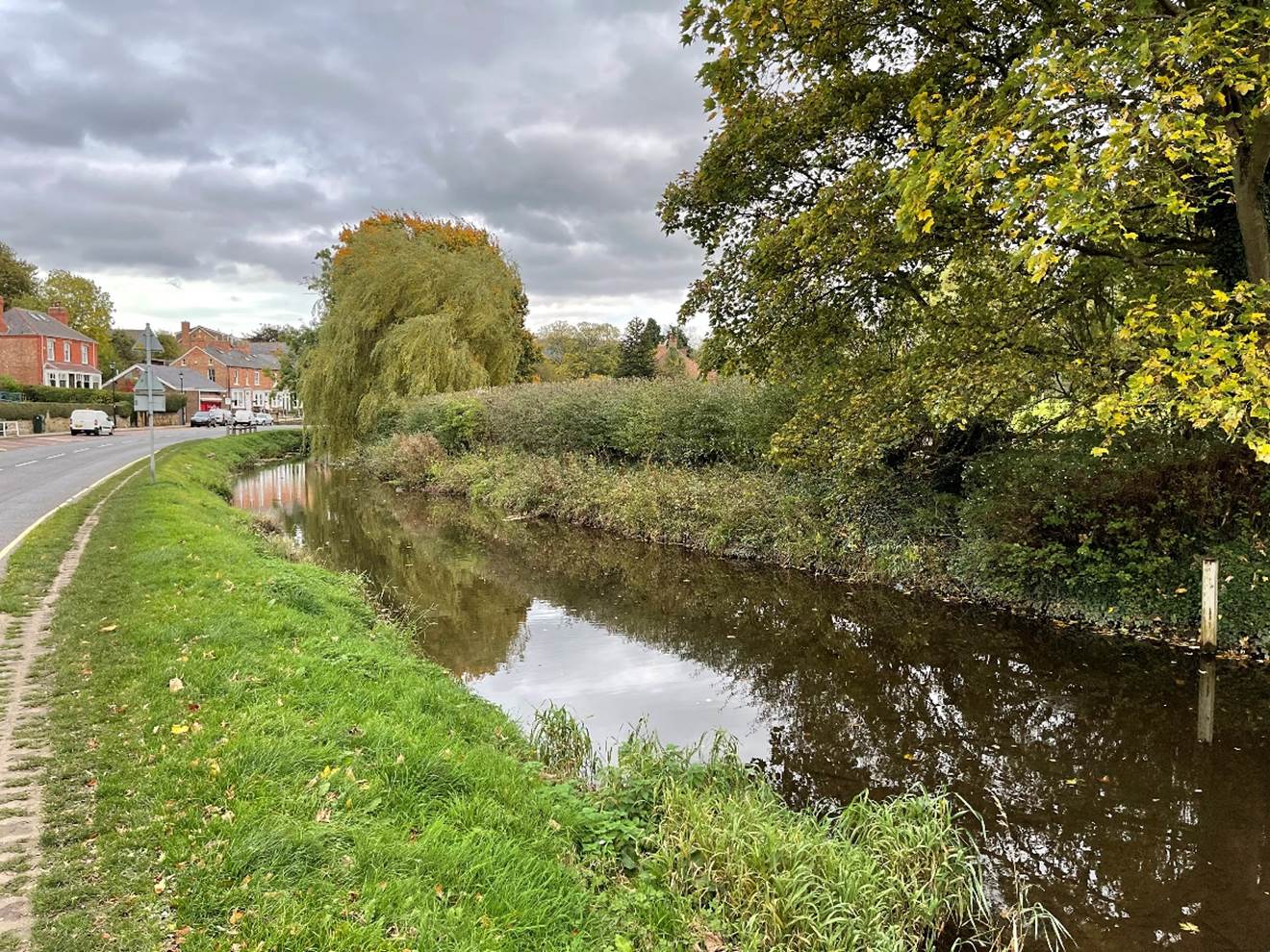 A river with grass and trees

Description automatically generated