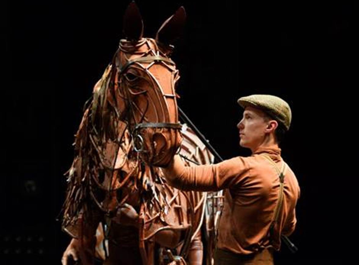 Image result for war horse