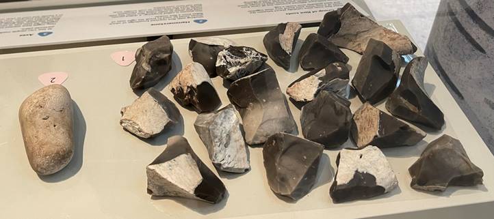 A group of rocks on a display

Description automatically generated