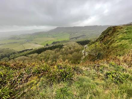 A landscape with a hill and trees

Description automatically generated with medium confidence