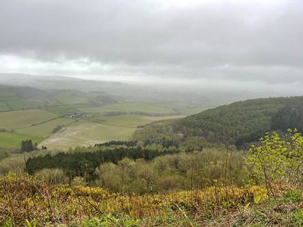 A landscape with trees and a valley

Description automatically generated