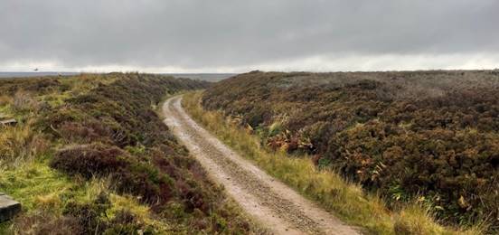 A dirt road through a field

Description automatically generated