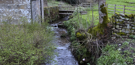 A stream running through a wooded area

Description automatically generated