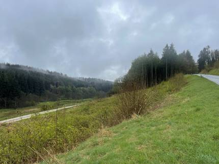 A grassy hill with trees and a road

Description automatically generated