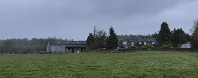 A field of grass with buildings in the background

Description automatically generated