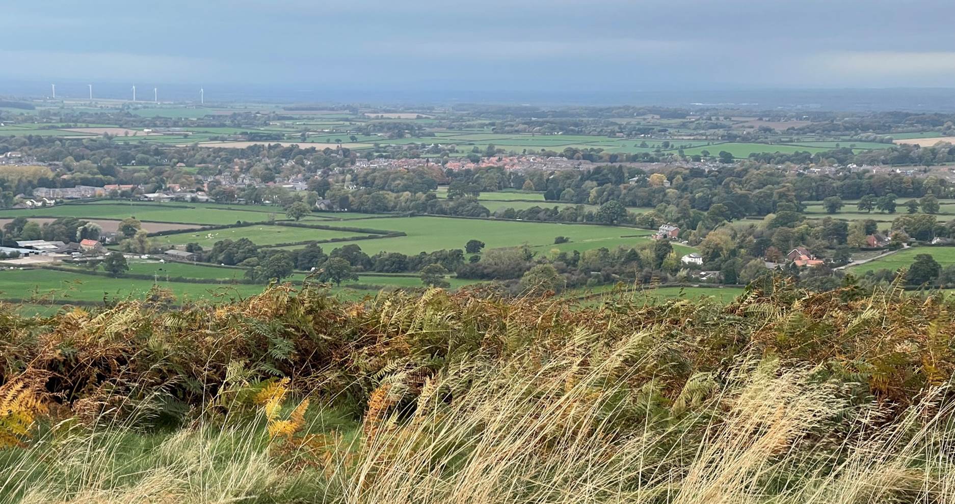 A view of a landscape with a city and a valley

Description automatically generated with medium confidence