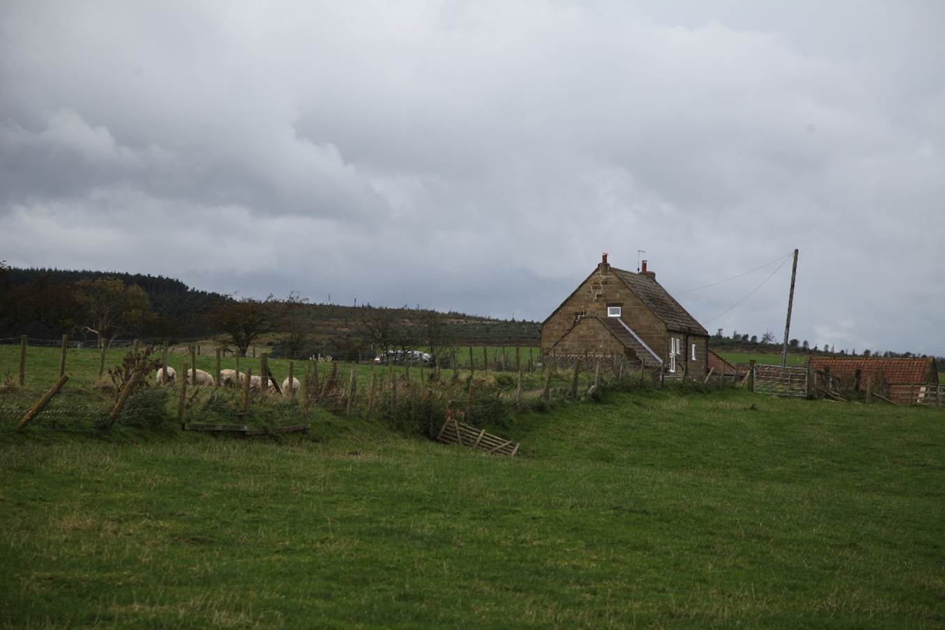 A house in a field

Description automatically generated