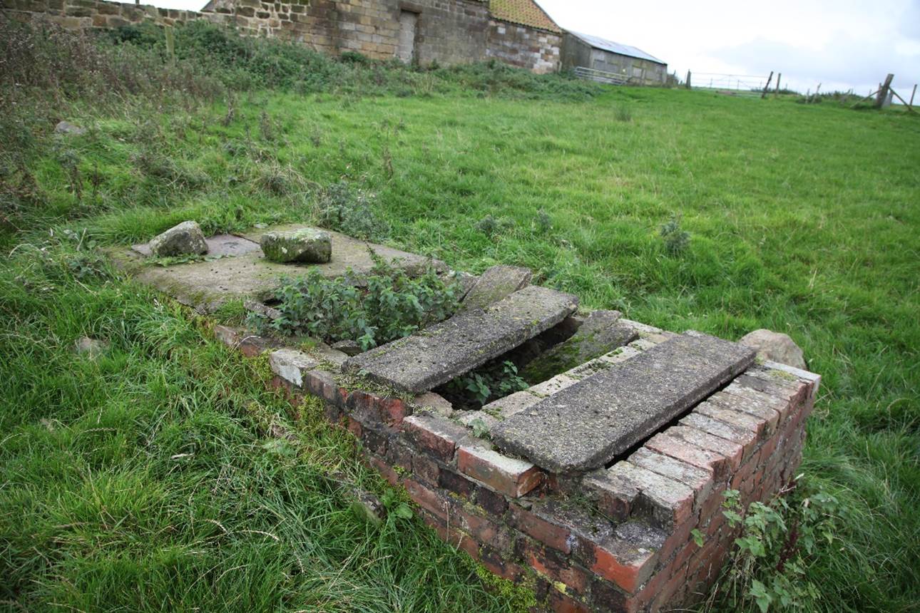 A brick well in a grassy field

Description automatically generated