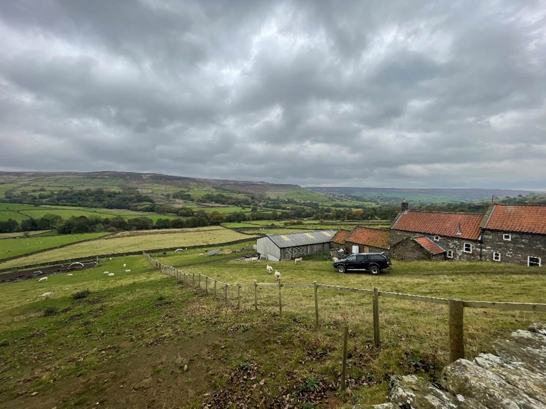 A field with a house and a car

Description automatically generated with medium confidence