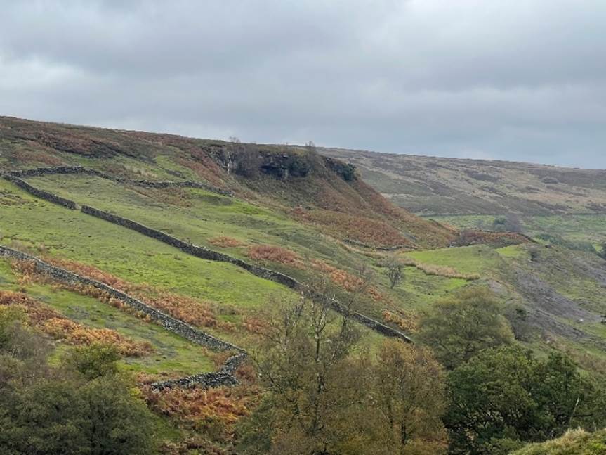 A green hillside with trees and a river

Description automatically generated with medium confidence