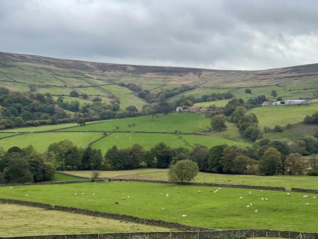 A green field with trees and a house with Yorkshire Dales in the background

Description automatically generated with medium confidence