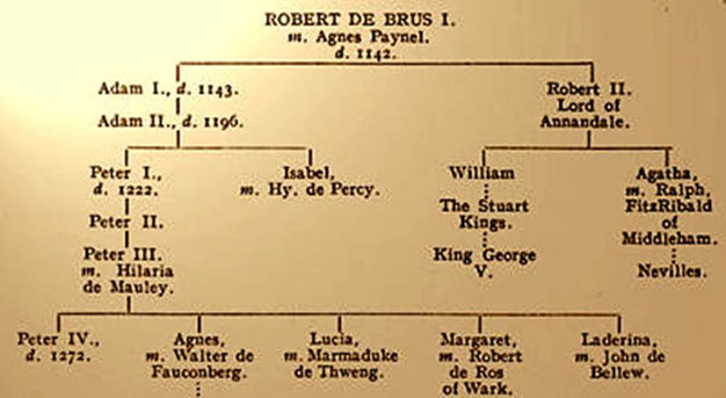 A close-up of a family tree

Description automatically generated