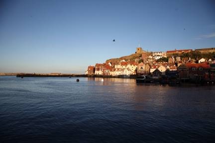 A body of water with buildings in the background

Description automatically generated