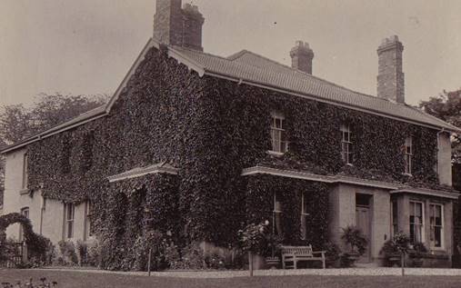 A house with ivy on the wall

Description automatically generated