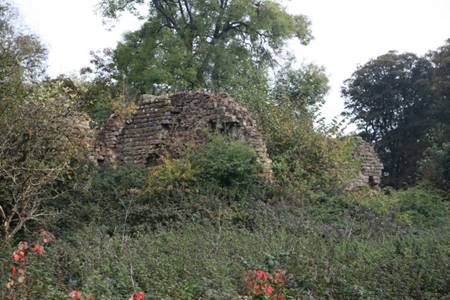 A stone ruins in the woods

Description automatically generated with medium confidence