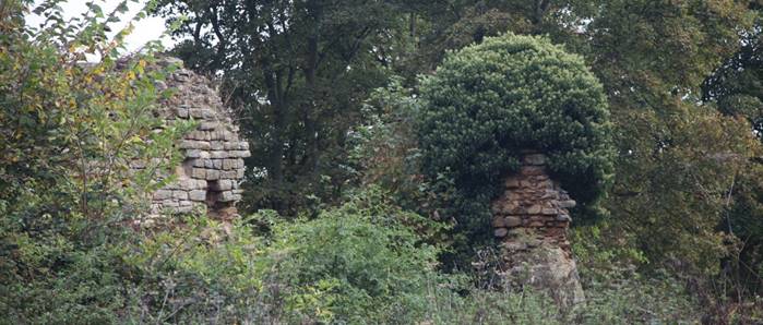 A stone structure with a bush growing on top

Description automatically generated with medium confidence