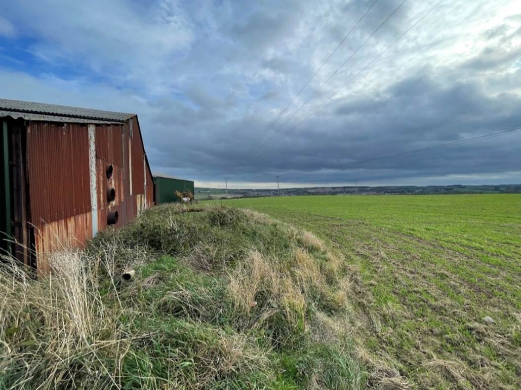 A picture containing grass, outdoor, sky, building

Description automatically generated