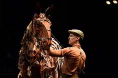 Image result for war horse