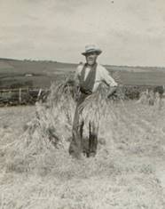 A person standing in a field holding a bundle of hay

Description automatically generated