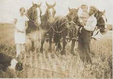 A group of people standing next to horses

Description automatically generated with low confidence