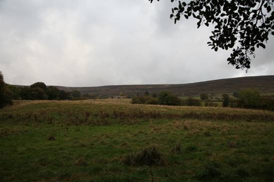 A field with trees and hills in the background

Description automatically generated