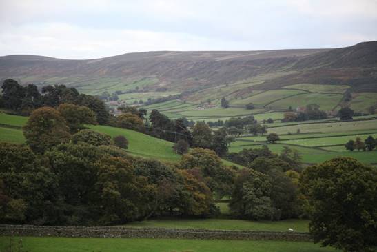 A green landscape with trees and hills

Description automatically generated