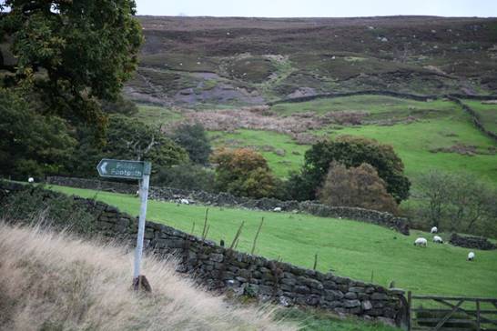 A sign on a stone wall

Description automatically generated