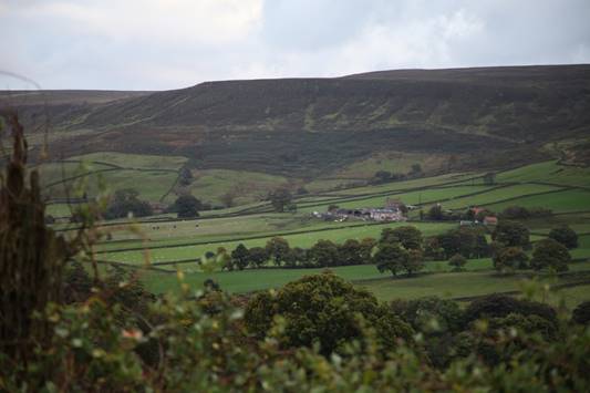 A landscape with a hill and trees

Description automatically generated with medium confidence