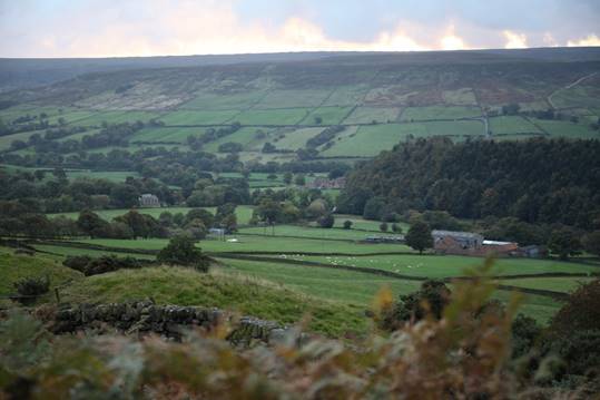 A landscape with a green field and trees

Description automatically generated with medium confidence