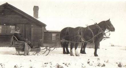 A horse pulling a sleigh and a person riding a horse

Description automatically generated