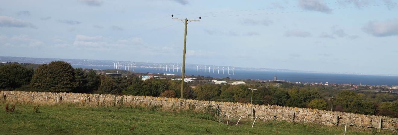 A field with a stone wall and a power pole

Description automatically generated