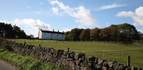 A white house in a field

Description automatically generated