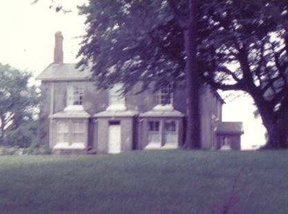 A house with a large tree in the background

Description automatically generated