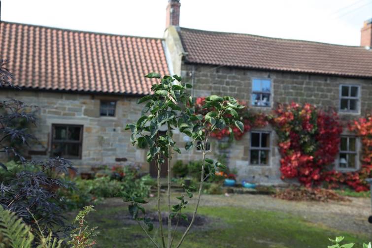 A house with a garden in the background

Description automatically generated