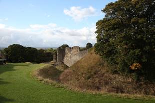 A grass field with a stone wall

Description automatically generated